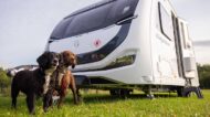 swift elegance grande: luxus-wohnwagen mit high-end-features