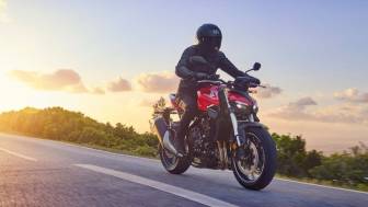 honda cb 1000 hornet / sp: die dicken hornissen