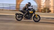 triumph trident 660: updates 2025 mit kurven-abs & neuen farben!