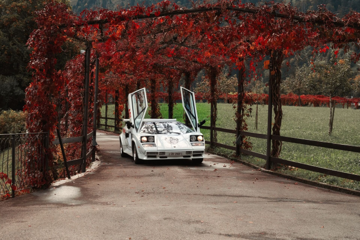 hanspeter und sein lamborghini